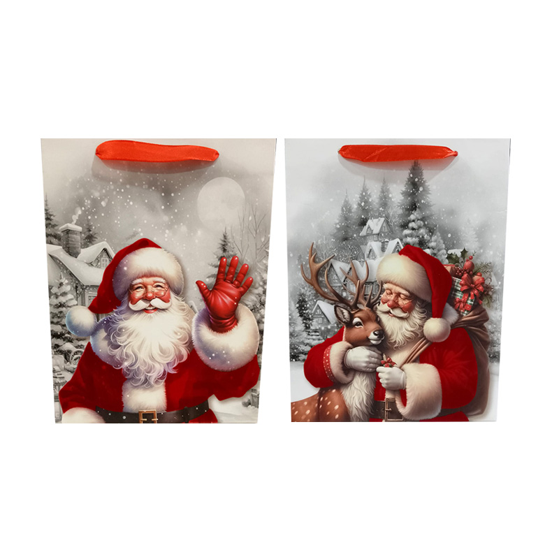 Bolsa de regalo Papá Noel Navidad 24cm