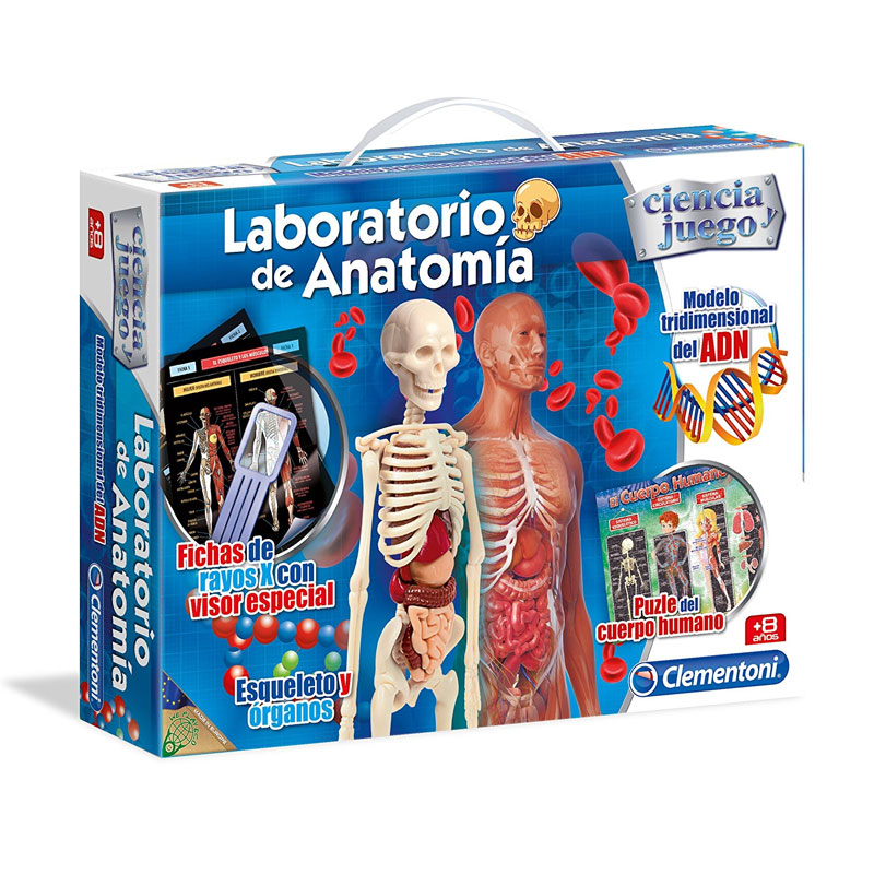 Distribuidor mayorista de Juego Educativo Laboratorio de Anatomía