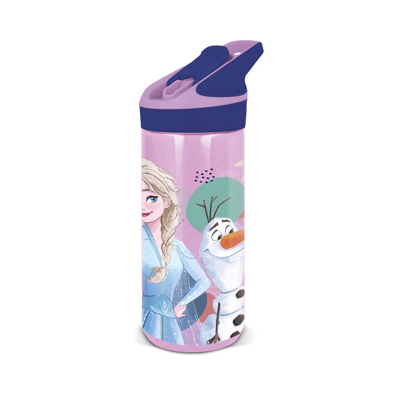 Botella ecozen 620ml Frozen