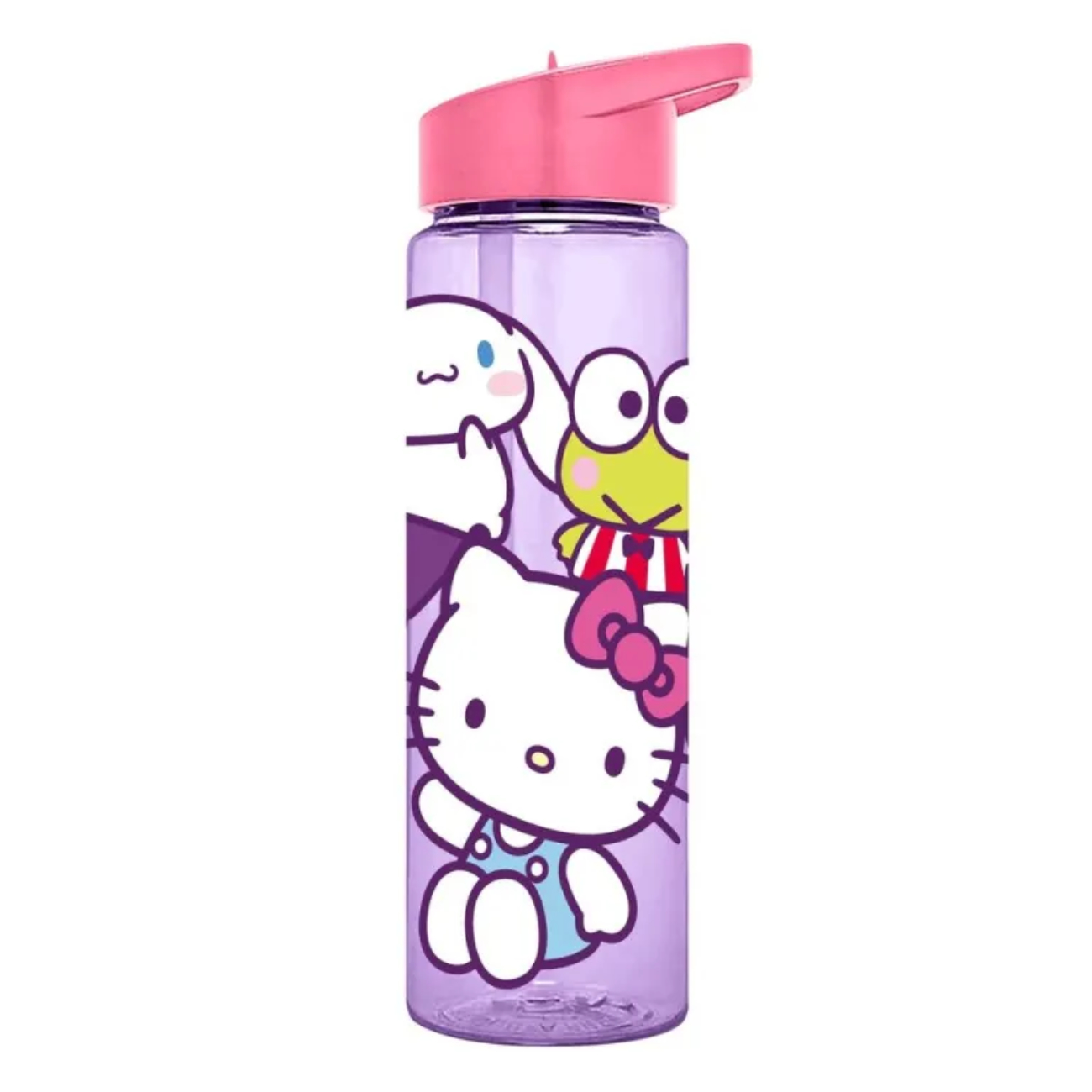 Botella de agua 600ml Hello Kitty and Friends