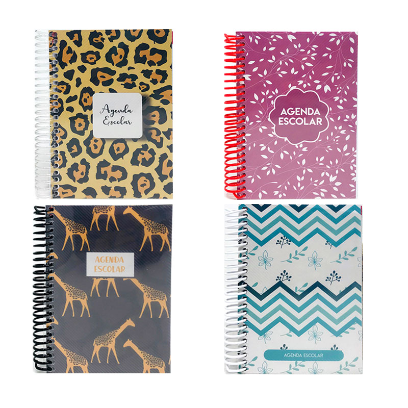 Distribuidor mayorista de Agenda Escolar Plástico A6 2020/2021 15,5x12cm