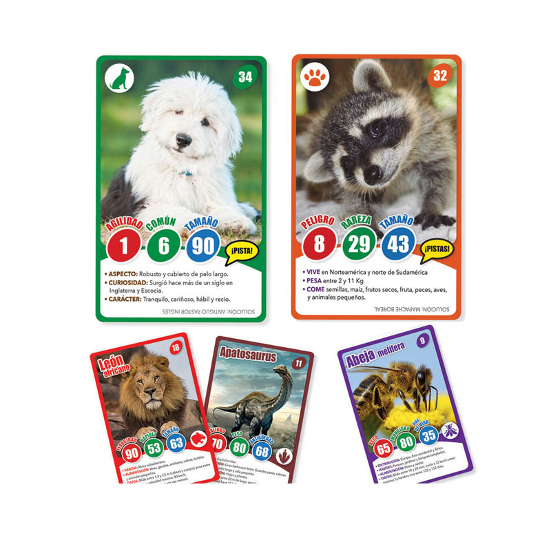 Distribuidor mayorista de Juegos de cartas educativas 5 modelos Hit Cards