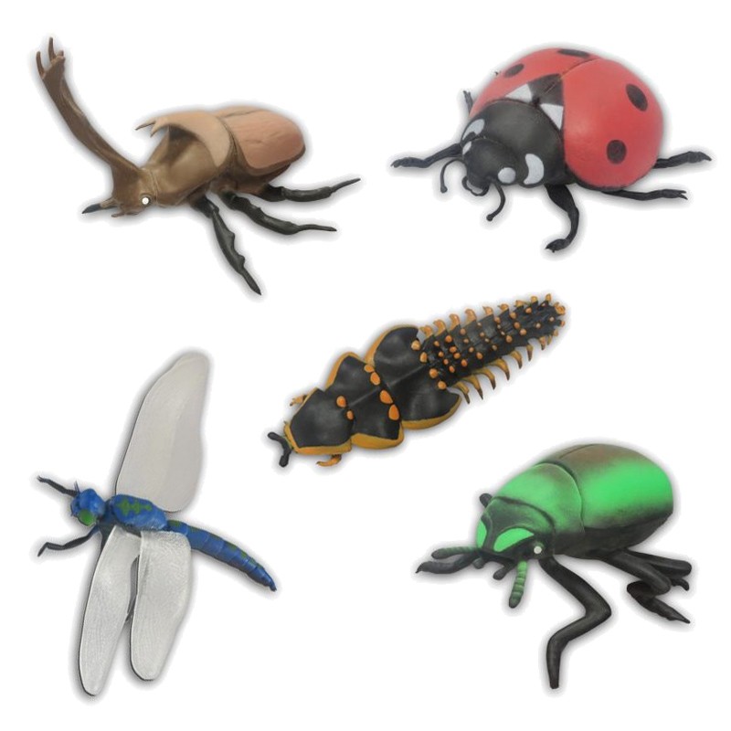 Distribuidor mayorista de Sobres Escarabajos vs Coleopteros Edición Gigante